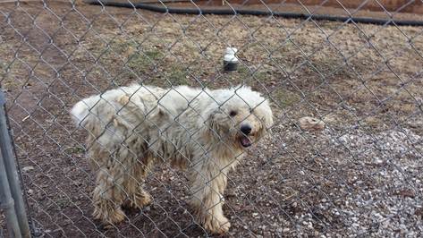 Abandoned, LGD, M&F (Mansfield, MO) –