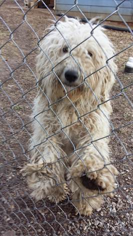Abandoned, LGD, M&F (Mansfield, MO) –