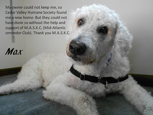 MAX: Thanks, MASKC
