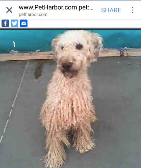 Mookie (now Mufti) in Las Vegas, NV