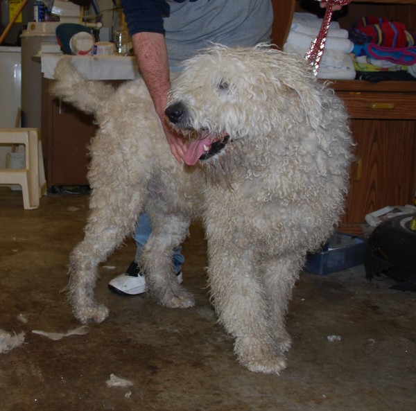 Chandler! (Mountain Home, AR) –
