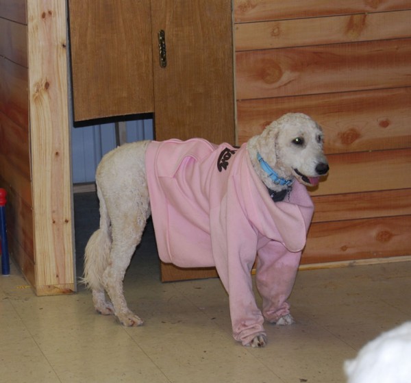 Olivia! (Mountain Home, AR) —