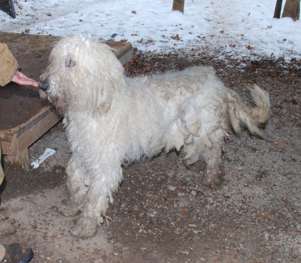 Sylvia! (Mountain Home, AR) –