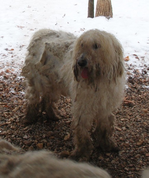 Sylvia! (Mountain Home, AR) –