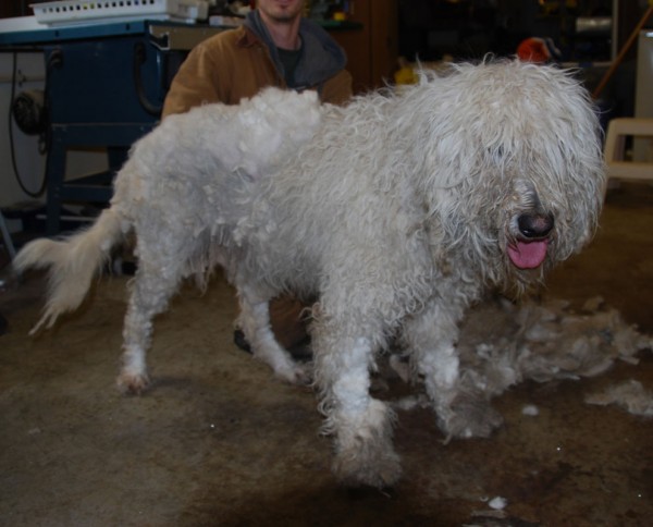 Sylvia! (Mountain Home, AR) –