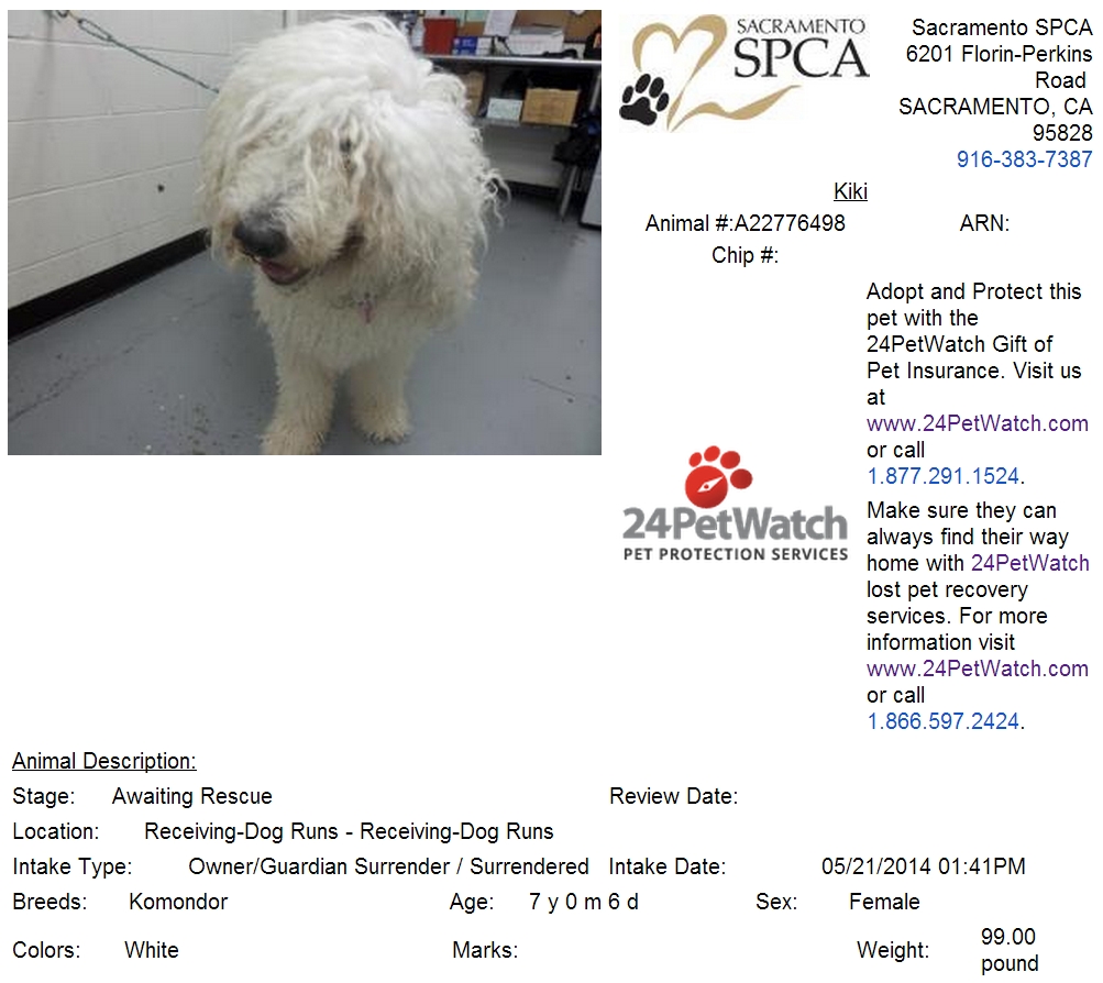 UPDATE! RE: KOM KIKI (SACRAMENTO, CA) – SAVED
